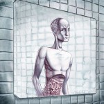 J. Keuz : Acceptions en solo