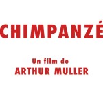Chimpanzé : un clip et quelques barbelés