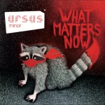 Ursus Minor : What matters now ? Un raton-laveur !