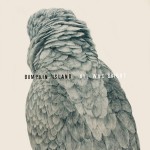 All was bright par Bumpkin Island