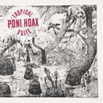 Pony Hoax à l’UBU :  rock in shadow songs