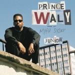 Prince Waly : Junior au Dooinit festival