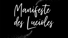 Le Manifeste des Lucioles : femmes qui brillent