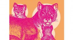 Devenir lionne, de Wendy Delorme