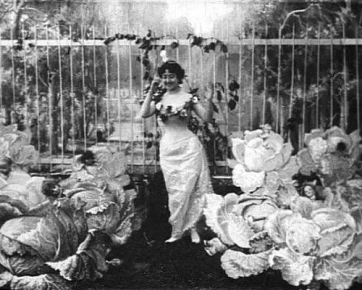 La fée aux choux, Alice Guy, 1901