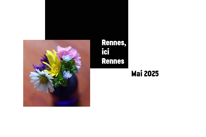 icirennesmai