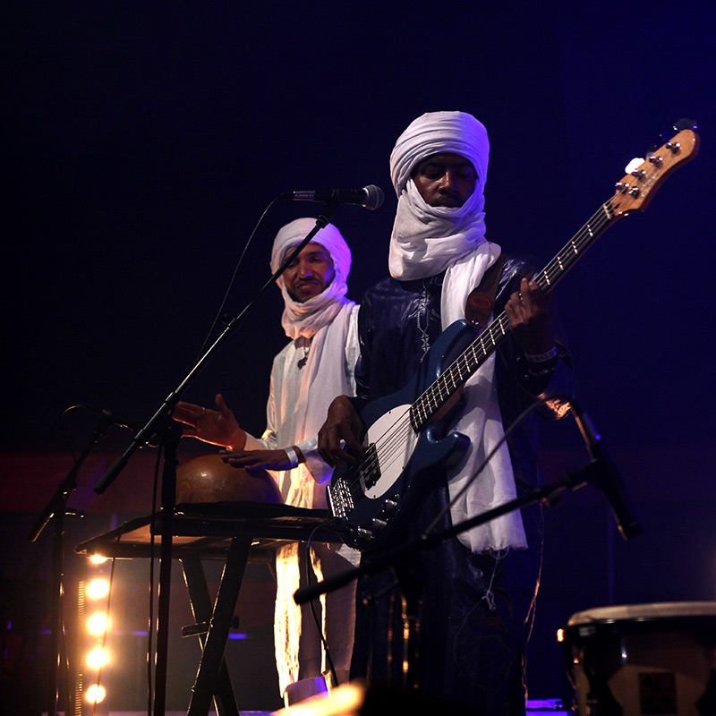bombino4.
