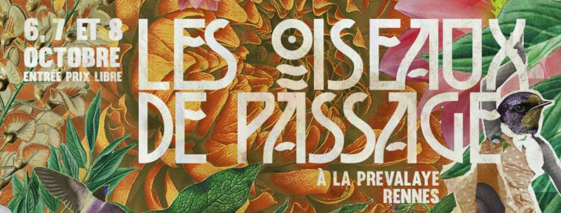 les-oiseaux-de-passage-2016-rennes